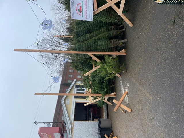 Christmas trees and stands for sale.